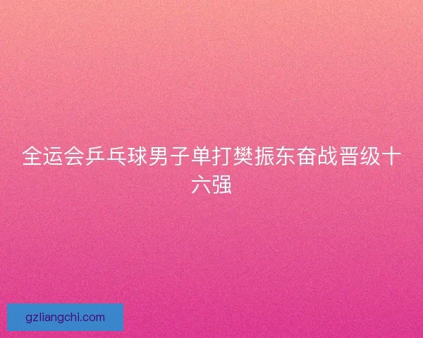 全运会乒乓球男子单打樊振东奋战晋级十六强